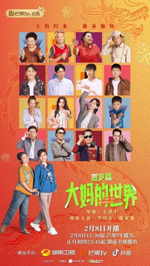 大妈的世界 贺岁篇,欢乐闹新春，共度团圆时