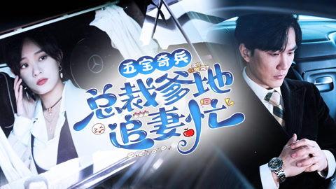 五宝奇兵总裁爹地追妻忙,甜蜜追妻之旅