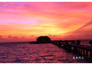 疼痛的风景,疼痛风景下的心灵疗愈之旅