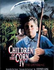 玉米田的小孩,那些无忧无虑的日子