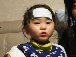 大宝贝,揭秘我国新一代科技宠儿