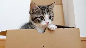 老祖宗驾到通通闪开,一场穿越时空的尊崇之旅