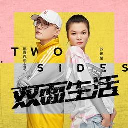 双面生活,双面生活的双重世界