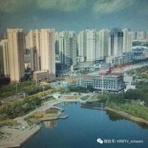 春来雁归时,雁阵归巢——自然轮回的美丽画卷